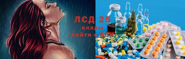 ГАЛЛЮЦИНОГЕННЫЕ ГРИБЫ Елизово
