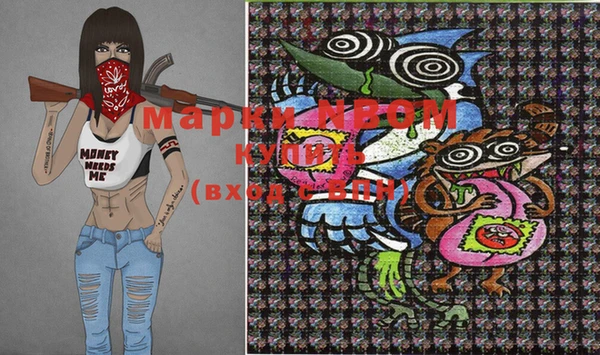 молекула духа Елабуга