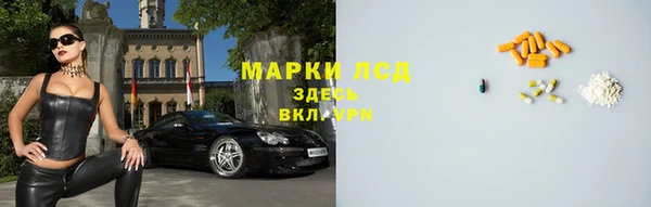 ГАЛЛЮЦИНОГЕННЫЕ ГРИБЫ Елизово