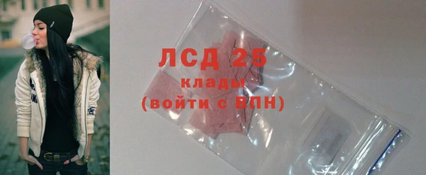 молекула духа Елабуга
