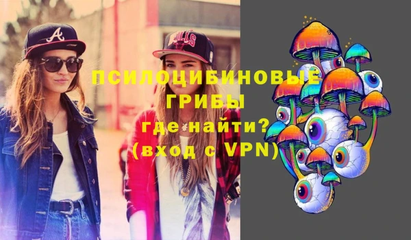 молекула духа Елабуга