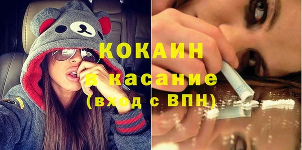 индика Заволжье