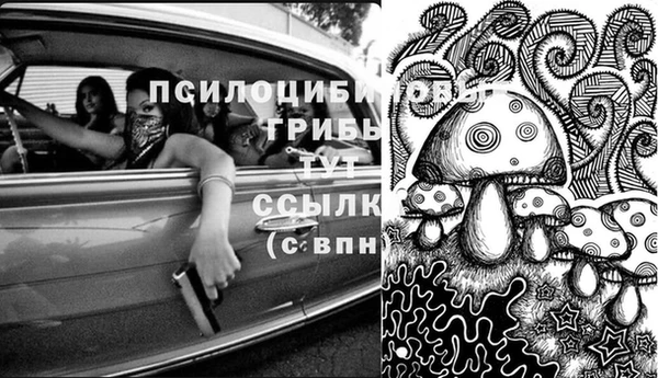 молекула духа Елабуга