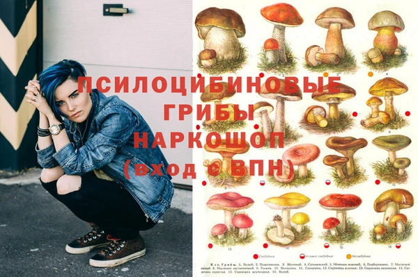 молекула духа Елабуга