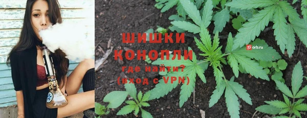 гидропоника Ельня