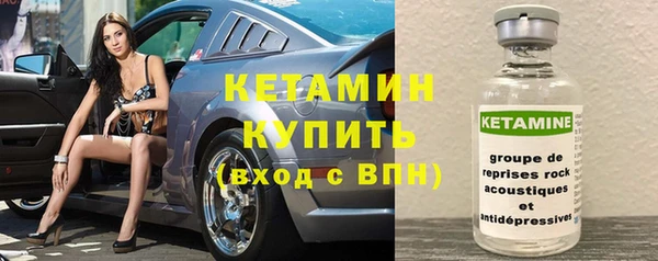 индика Заволжье