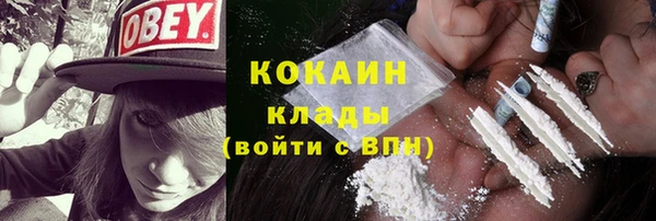 гидропоника Ельня