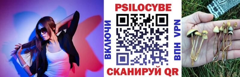Галлюциногенные грибы ЛСД  Купить где  Звенигово 